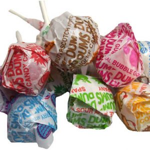 Assorted Dum Dum Pops Spangler 30 LB Case
