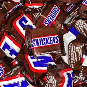 Snickers 20 LB Case