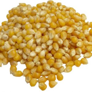 Raw Popcorn 50 LB Case